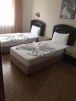 ديفن آند زيفكيم