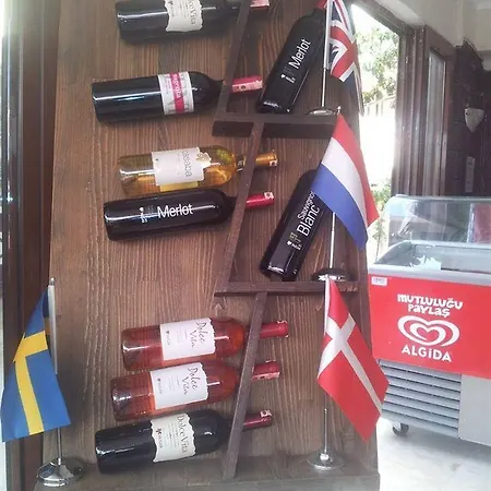 ديفن آند زيفكيم