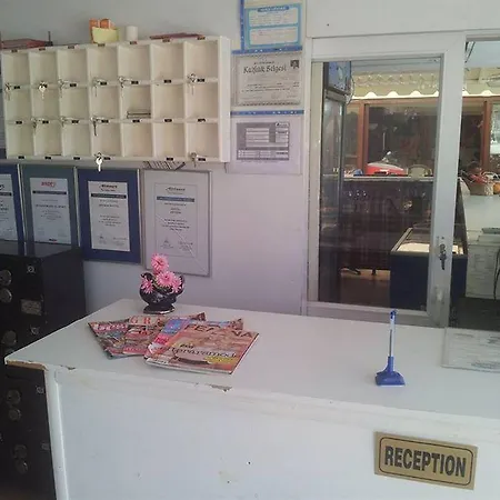 ديفن آند زيفكيم